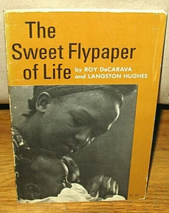 Roy DeCarava Langston Hughes The Sweet Flypaper Of Life 1st Hill and Wang 1967 - Picture 1 of 1