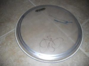 Buckcherry Josh Todd & Stevie Autografiado Firmado 15" DRUMHEAD Garantizado - Imagen 1 de 1