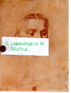 1952 - DISEGNI DI GRANDI MAESTRI - CESARE DA SESTO - RITRATTO - LUTOGYL - Picture 1 of 2