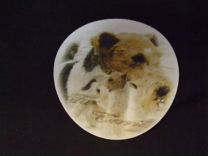 Tapis de souris - FOX TERRIER - Picture 1 of 1