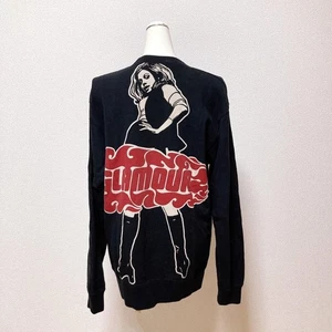 Hysteric Glamour His Girl Big Logo Sweatshirt, Women's Knit, Excellent Condition - Picture 1 of 7
