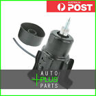 Fits Nissan Elgrand - Front Engine Mount (Hydro)