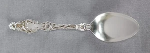 Whiting Lily Pattern Sterling Silver 5 5/8 Inch Tea Spoon Teaspoon C. 1902-1924 - Picture 1 of 7