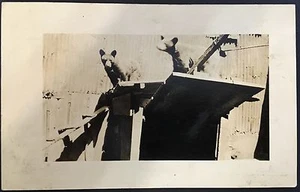 Postal con foto real RPPC ~ Dos cachorros de oso subvención general Parque Nacional de California - Imagen 1 de 3