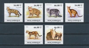 Mozambique 2483a-f MNH, gatos, 2011 - Imagen 1 de 1