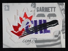2004-05 ITG Heroes and Prospects Complete Emblem 1/1 Michael Garnett #PCE-15 7ez