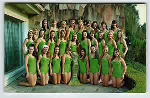 Weeki Wachee Florida Postcard Mermaids Women Pose Outside Chrome Green Swimsuits - Picture 1 of 2