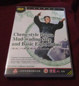 Cheng-style Bague Mud-wading Step and Basic Eight Palms DVD Liu Jingru - Picture 1 of 1