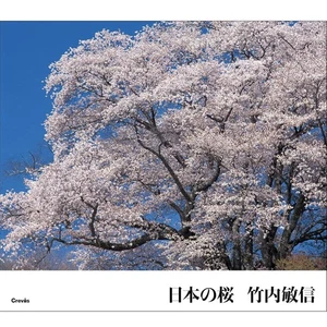 Japanese cherry blossoms Pictures Japanese BOOK Very beautiful book From Japan - Picture 1 of 3