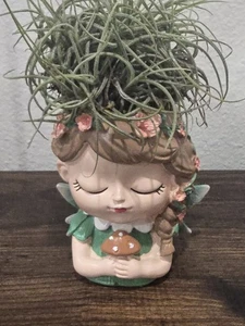 Fairy Girl Air Plant Holder – Cute Ceramic Planter with Tillandsia |... - Picture 1 of 5