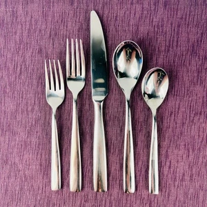 Cambridge Silver Austin Your Choice CBSAUS stainless 18/10 China Glossy Slant - Picture 1 of 7