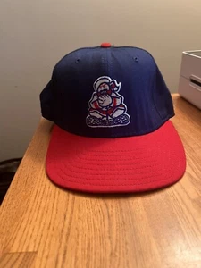 Vintage Edmonton Trappers Hat Snapback Minor League Baseball. Made In USA. - Picture 1 of 7