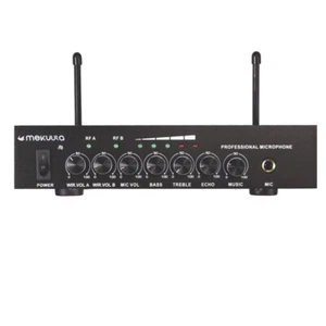 UHF Mikrofon Set Zweikanal Bluetooth 5.0 Wireless Microphone für Party Karaoke - Afbeelding 1 van 21