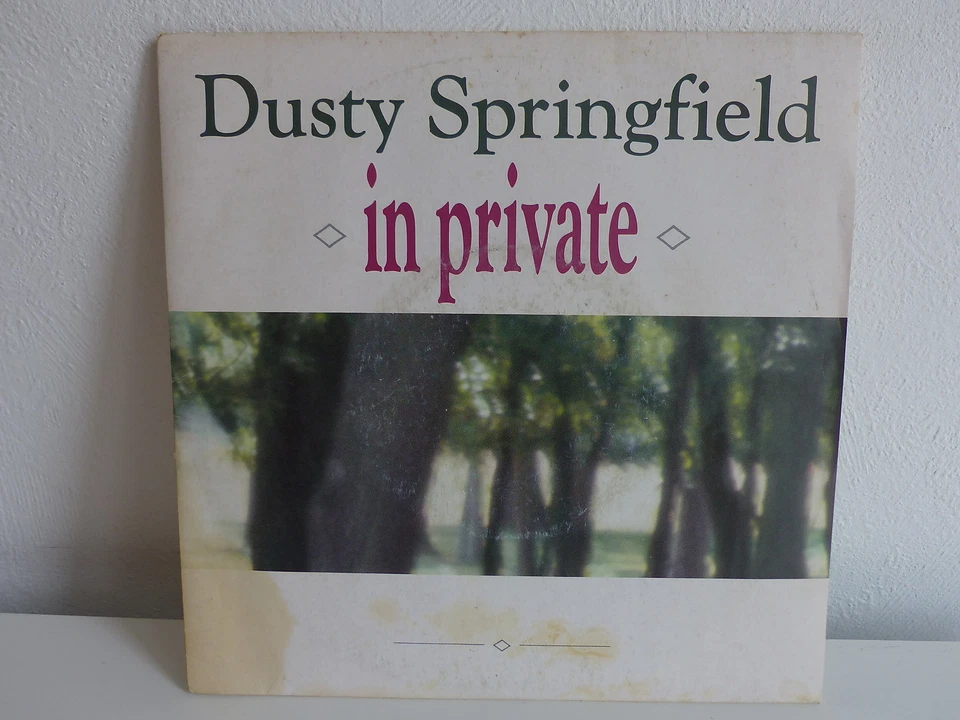 DUSTY SPRINGFIELD In private 2036187 - Photo 1/1