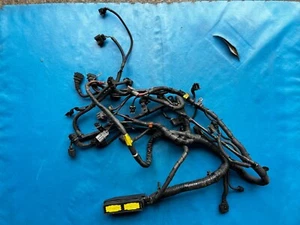 MG ZS 2.5 KV6 Engine Loom (Bremi Coil Packs, Non Air Conditioning) - Picture 1 of 2