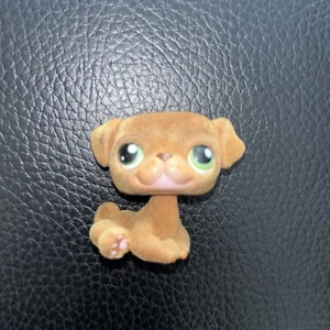 Littlest Pet Shop #439 cucciolo cane carlino autentico LPS fuzzy - Foto 1 di 2
