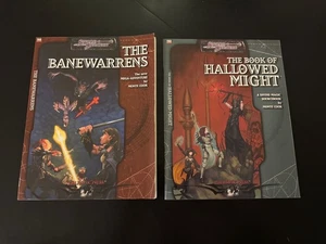Malhavoc Press d20 RPG Buch der Geheiligten + Banewarrens GD-VG BF2 - Bild 1 von 4