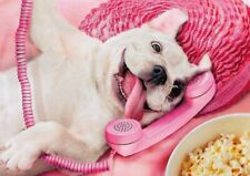 French Bulldog Friendship Card ~ Avanti ~ Fun Card Humorous Dog Gossip