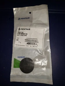 Genuine Pentair 154715 Sand Drain Gasket  NEW - Picture 1 of 2