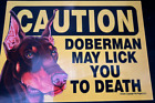 Caution Doberman May Lick You To Death Plastic Dog Breed Sign With Magnet