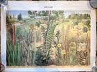 1970s Rare British Museum Posters X10 Heathland by Barbara Nicholson Vintage