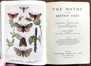 ca1910 South The Moths of the British Isles, 2nd Series - Bild 1 von 23