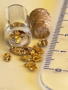genuine, natural, small Western Australian Gold Nuggets; 3.00 grams in vial - Picture 1 of 4