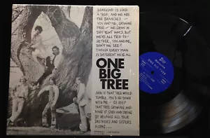 Fresh Wind-One Big Tree-Star 40975-SUNSHINE POP SHRINK - Picture 1 of 2