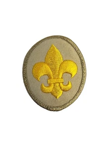 BSA Pfadfinder Dienstgradabzeichen - hellbraun oval - aktuelle Ausgabe offizielle Pfadfinder Amerikas - Bild 1 von 2