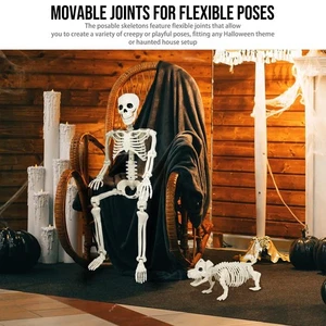 2 Stück Poseable Mensch und Hund Skelett Halloween Deko Indoor Outdoor - Bild 1 von 9
