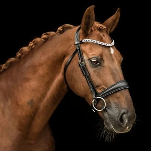 Leather Bridle XF Black Italian Leather Contoured Fit - Picture 1 of 4
