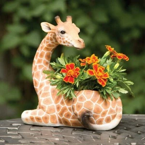 Realistic Detail & Texture Young Safari Giraffe 2 In 1 Garden Planter Statue - Picture 1 of 1