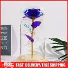 Artificial Rose Flowers Light Eternal Rose LED Light Mothers Day Gifts for Mom