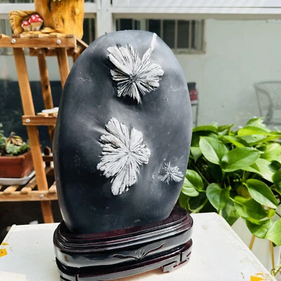 11.3LB Natural Chrysanthemum Stone Quartz Carved Halo Therapy Gift - Image 1 of 4