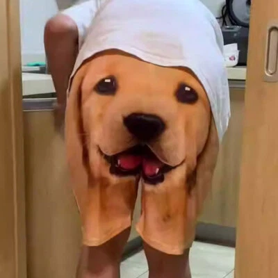 Golden Retriever Shorts Sports Pants with Drawstring Beach Shorts for Women - Image 1 of 4