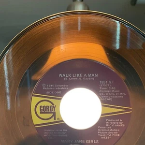 Mary Jane Girls – Walk Like A Man/Shadow Lover Gordy – 1851 GF - Foto 1 di 3