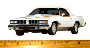 1977 Pontiac LeMans CAN AM Edition Full Color Die Cut Vinyl Decal Sticker - Picture 1 of 1