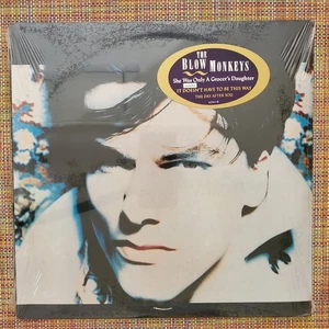 THE BLOW MONKEYS - She Was Only A Grocer's Daughter / SYNTH POP ROCK LP / SEALED - Picture 1 of 2