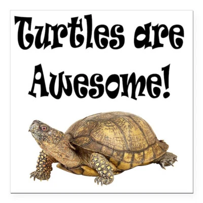 Regalo Inusual TORTUGA REPTIL Colgante Grande en Plata 925 20" Collar Mujeres Hombres Foto 1 de 4