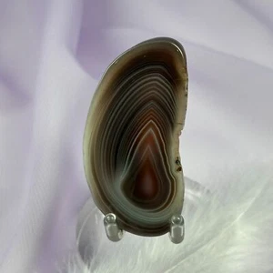 Botswana Agate crystal polished slice 16.3g SN49957 - Foto 1 di 5