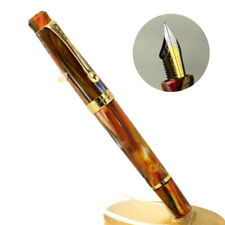 Penna stilografica con caricamento a pistone con pennino ultra flessibile 4...