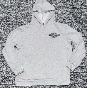 Harley-Davidson Kids Boys Girls Pullover Hoodie Gray Size 12 / 14 Large - Picture 1 of 7