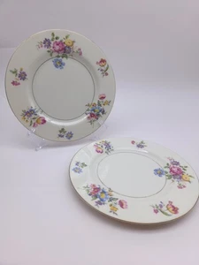 Set of 2 Theodore Haviland New York Pasadena Plate - Picture 1 of 6