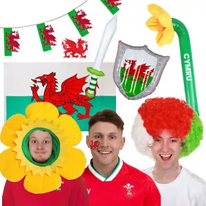 WELSH FANCY DRESS RUGBY WALES SPORTS FOOTBALL RUGBY EVENT SUPPORTERS LOT - Picture 1 of 13