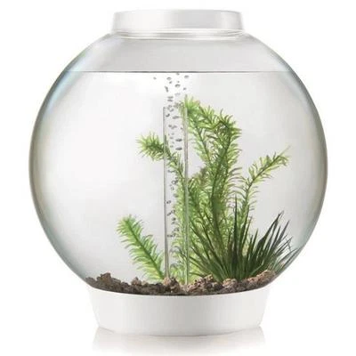 biOrb Nano-Aquarium Komplett-Set CLASSIC 30 LED Thermo weiß - Bild 1 von 3