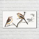 Plexiglas Print Wall Picture 100x50 Drawing Animal Bird Branch Johan Teyler 