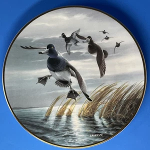 Bluebills Coming In Plate Artist Lynn Kaatz Ducks Unlimited Collection WS George - Picture 1 of 13
