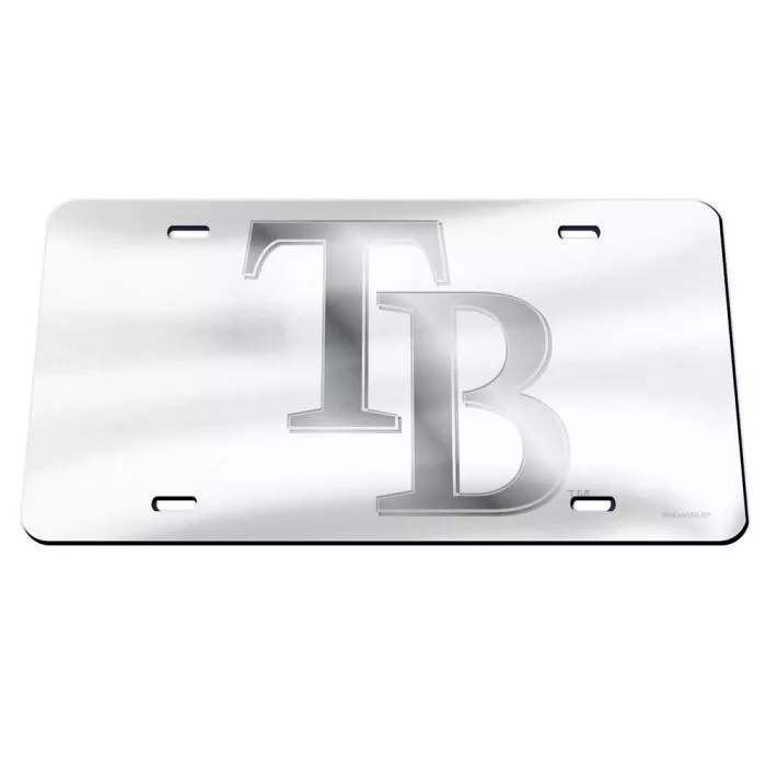 TAMPA BAY RAYS FROSTED ACRYLIC CAR LICENSE PLATE MIRRORED LOGO MLB LICENSED - Image 1 of 1