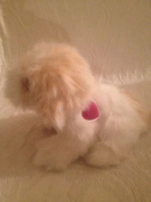 10" 2007 Barbie Light Up Heart Interactive Puppy Dog Toy Plush Brown White - Image 1 of 4