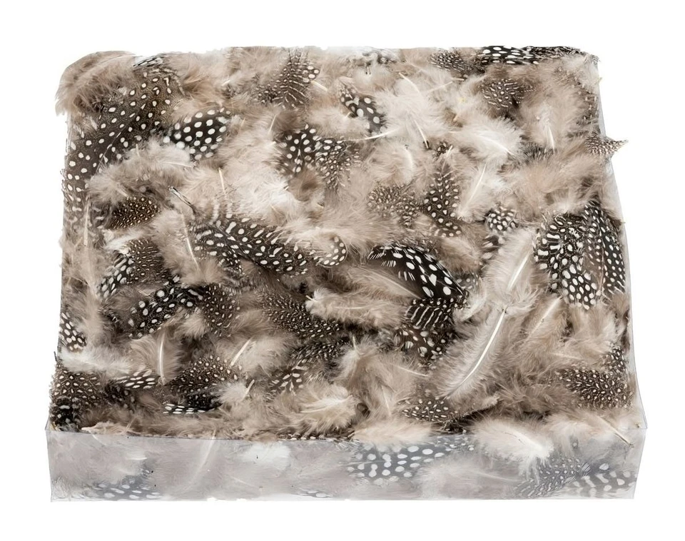 NaDeco® Perlhuhnfeder natur 45g | Perlhuhn Feder | Dekofedern | Deko Feder | Bas - Bild 1 von 1